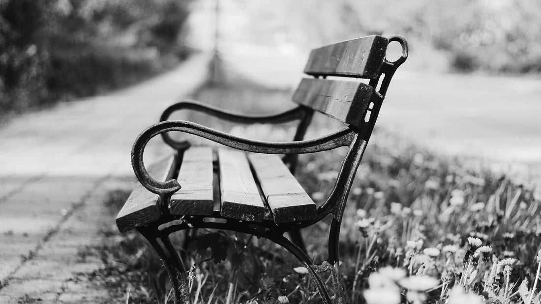 black and white photography of an empty bench
