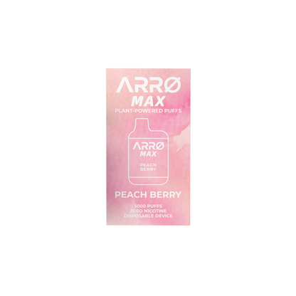 ARR MAX Zero Nicotine Vape | Peach Berry Flavor ARR Brand ARR MAX Zero Nicotine Vape | Peach Berry Flavor ARR Brand