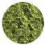 L-Theanine