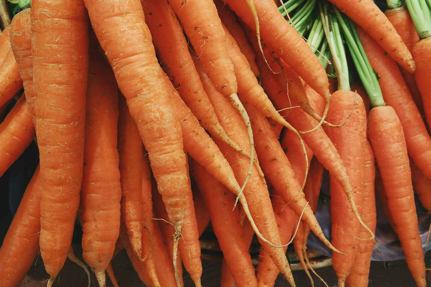 close-up photo of several carrots stacked together